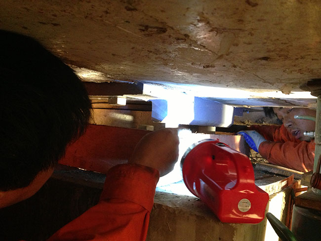 ������������